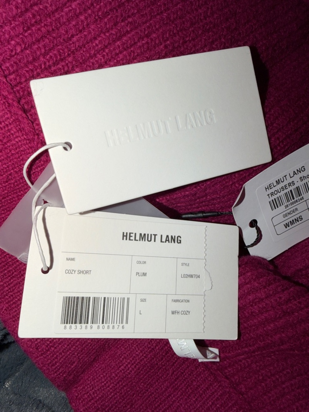 Helmut Lang High-Waist Shorts in Berry - Picture 8 of 10